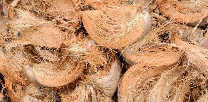 cara pengolahan sabut kelapa
